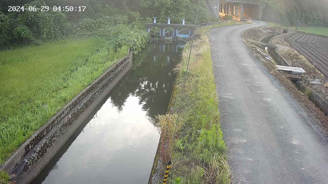 area9-20240629045018.jpg