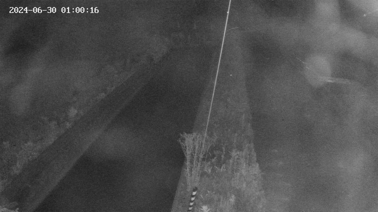 area9-20240630010017.jpg