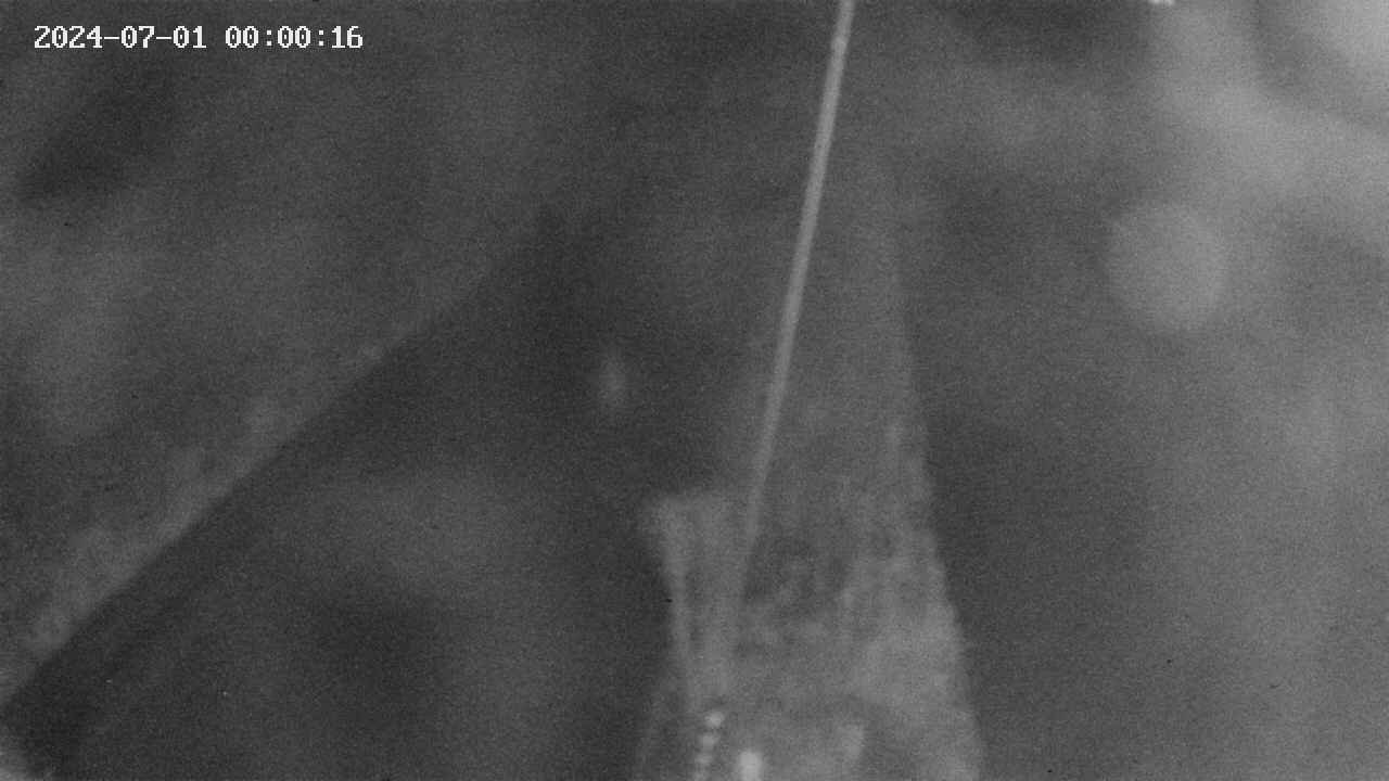 area9-20240701000018.jpg