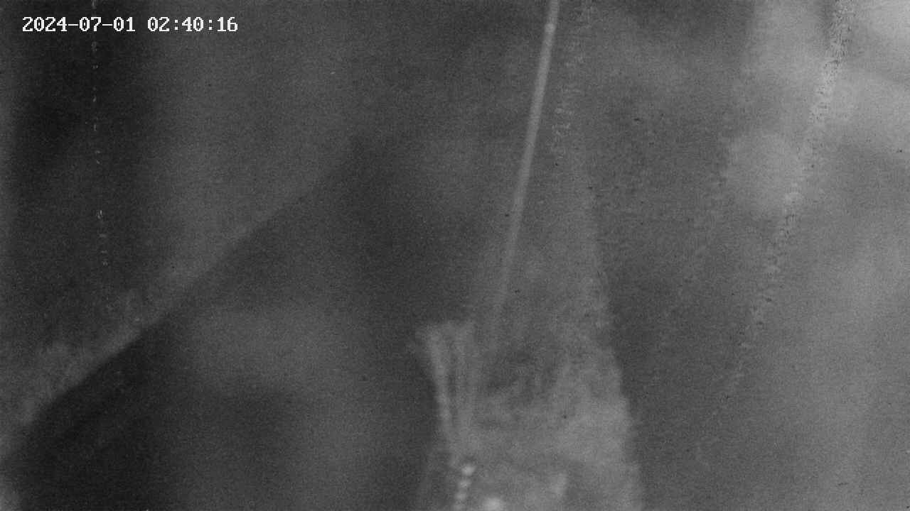 area9-20240701024018.jpg
