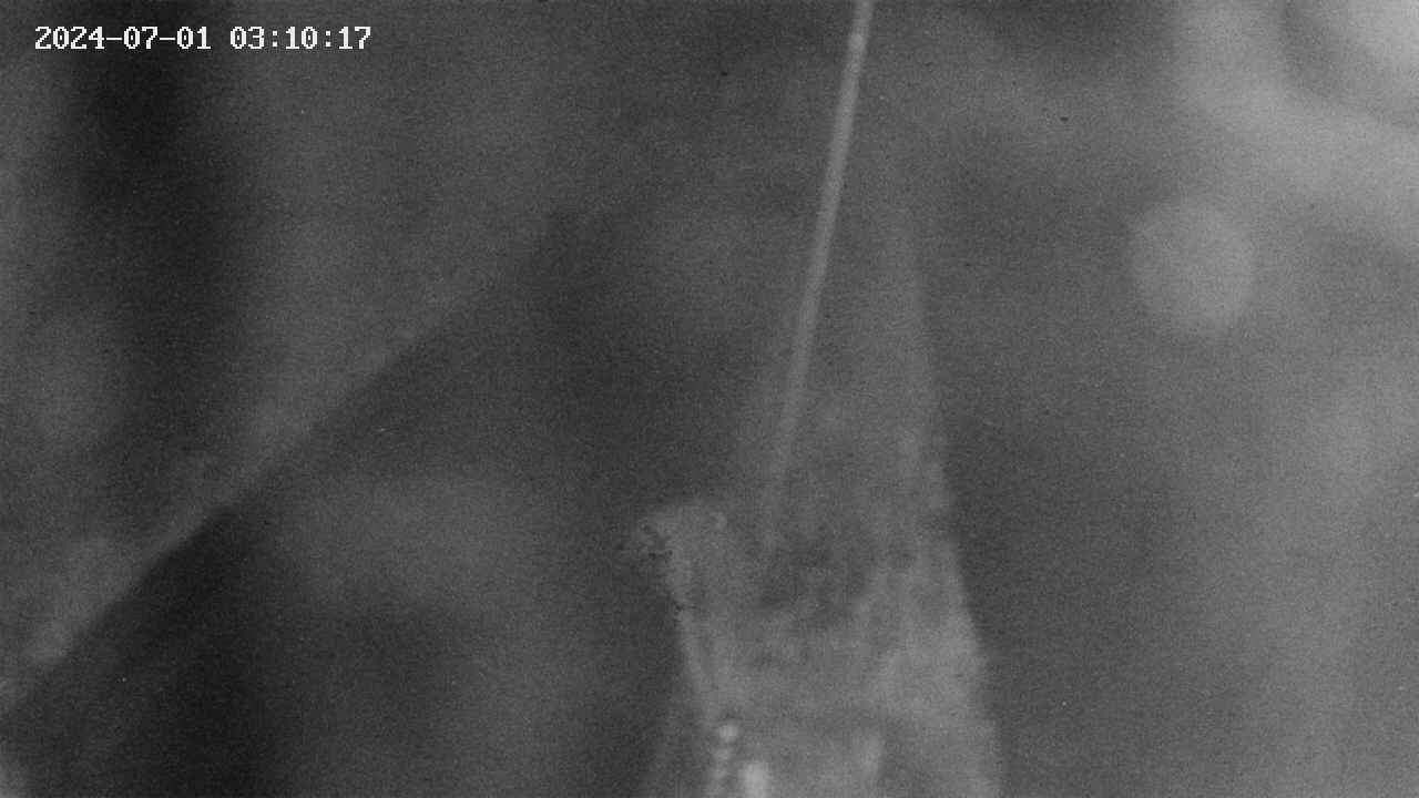 area9-20240701031019.jpg