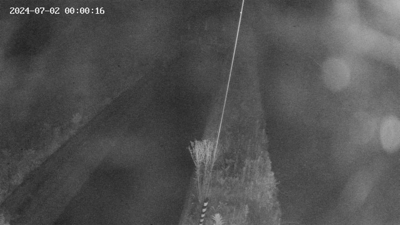 area9-20240702000017.jpg