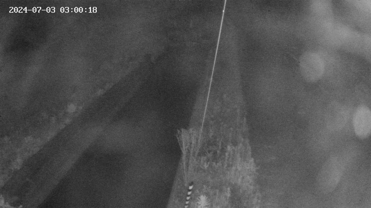 area9-20240703030019.jpg