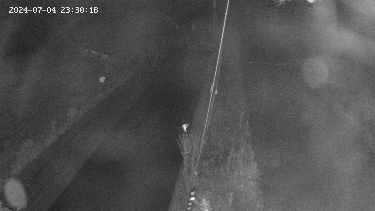 area9-20240704233019.jpg