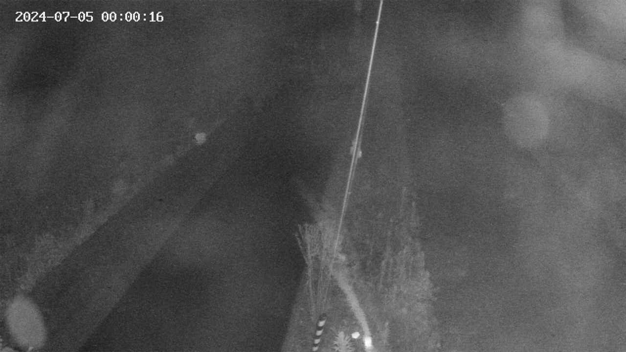 area9-20240705000017.jpg