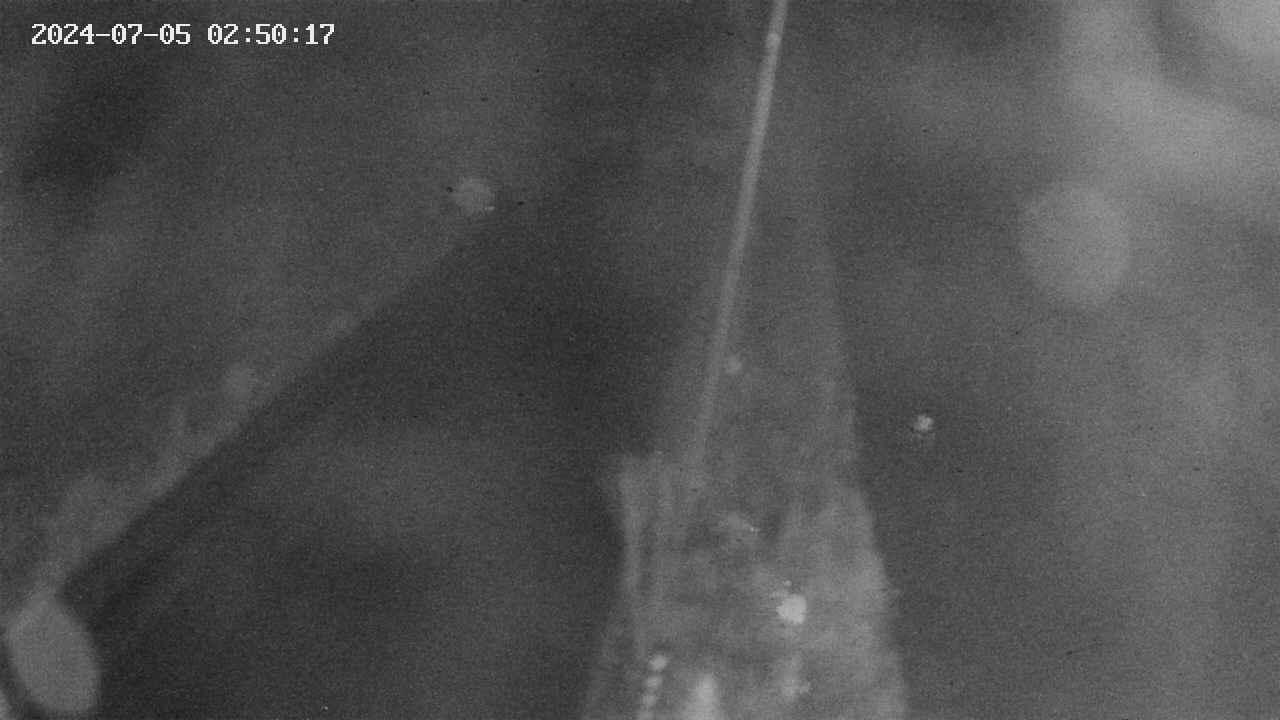 area9-20240705025018.jpg