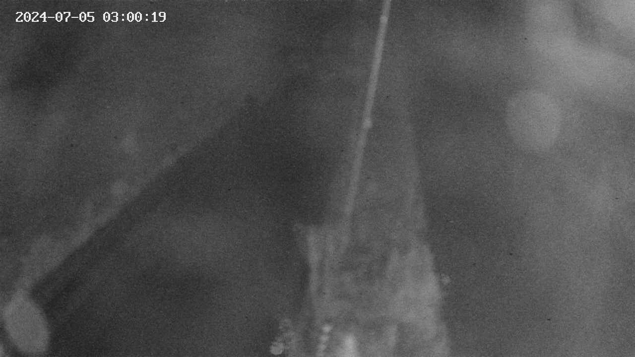 area9-20240705030020.jpg