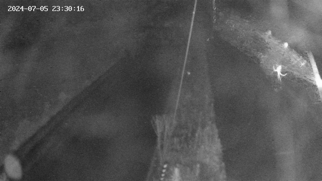 area9-20240705233017.jpg