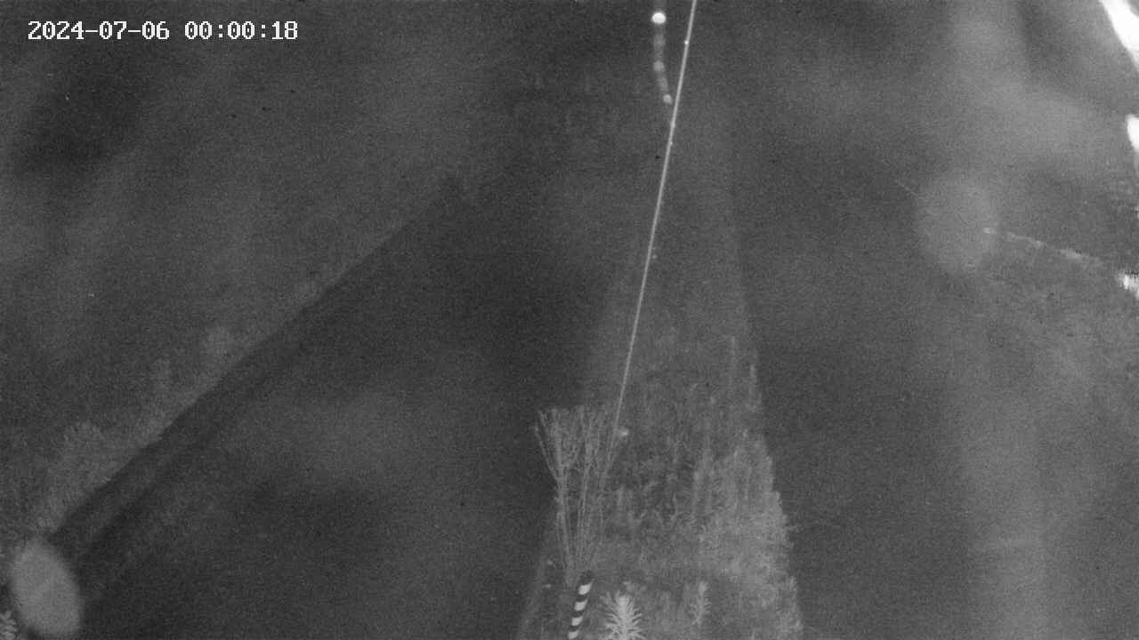 area9-20240706000019.jpg