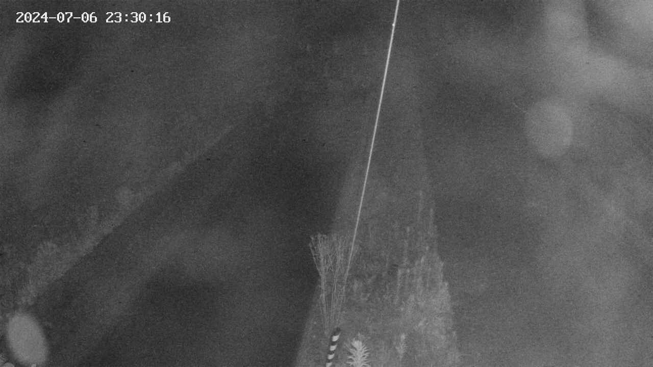 area9-20240706233017.jpg