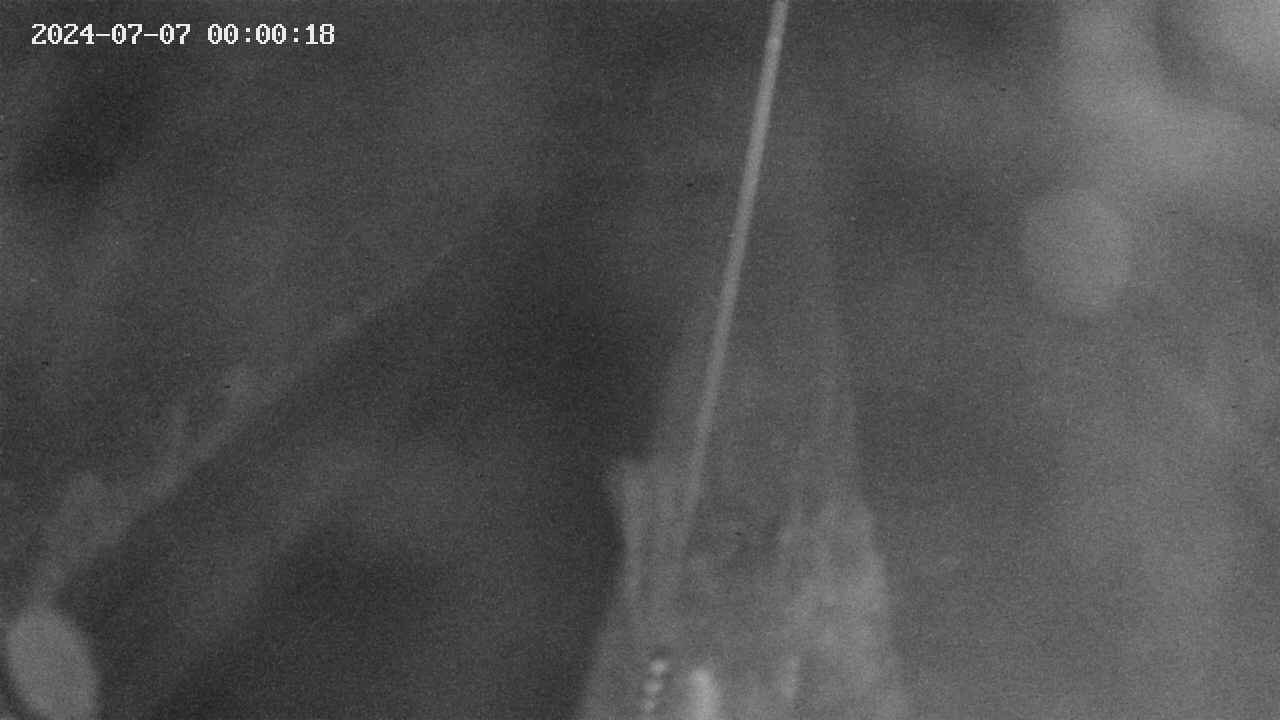 area9-20240707000019.jpg