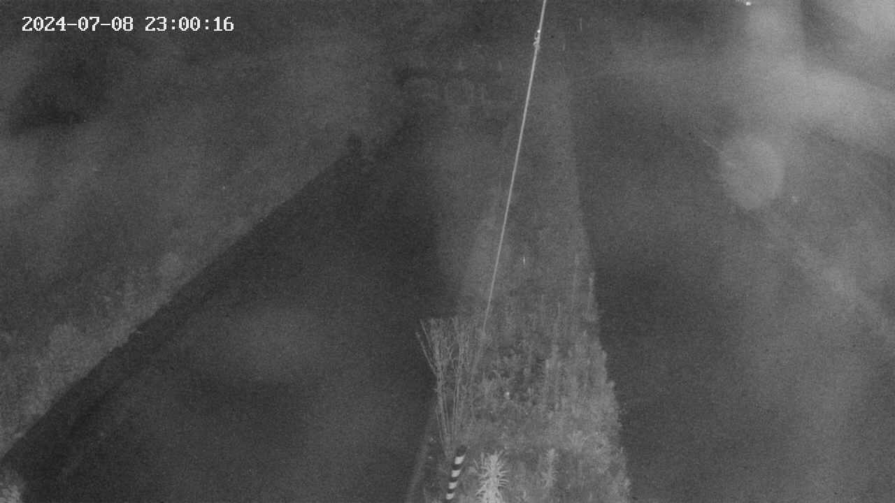 area9-20240708230018.jpg