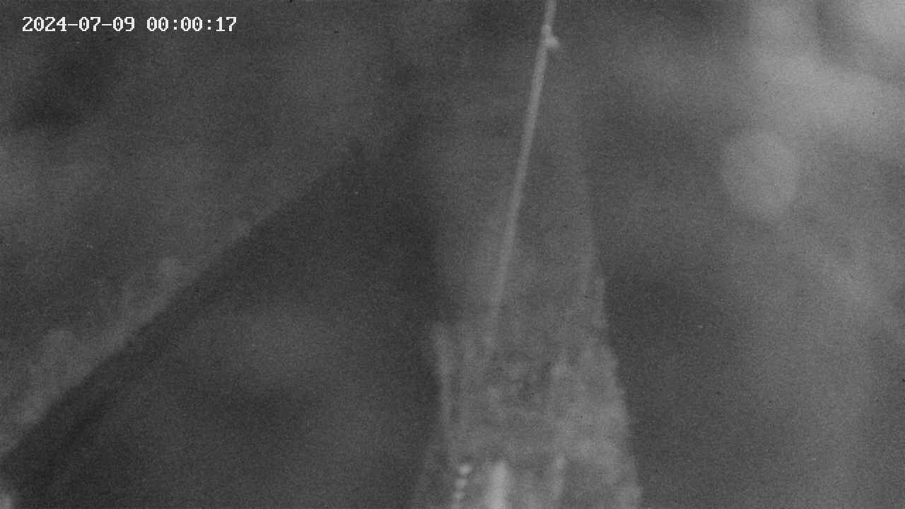 area9-20240709000018.jpg