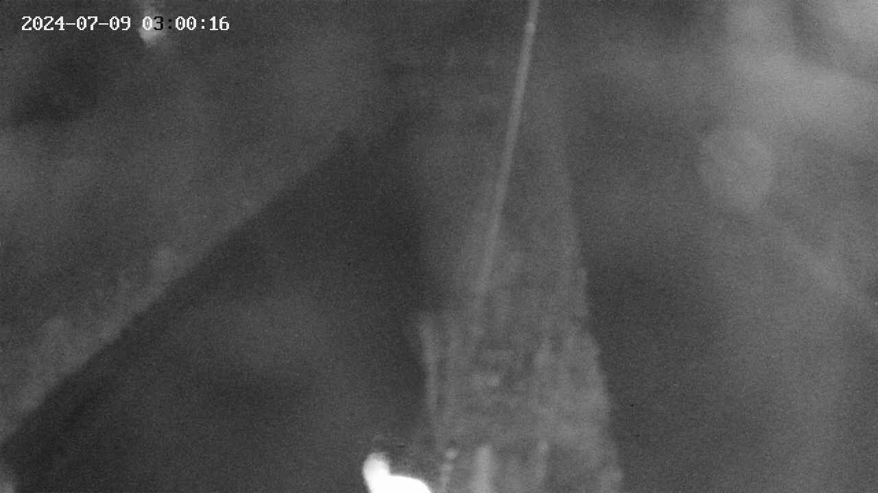 area9-20240709030018.jpg