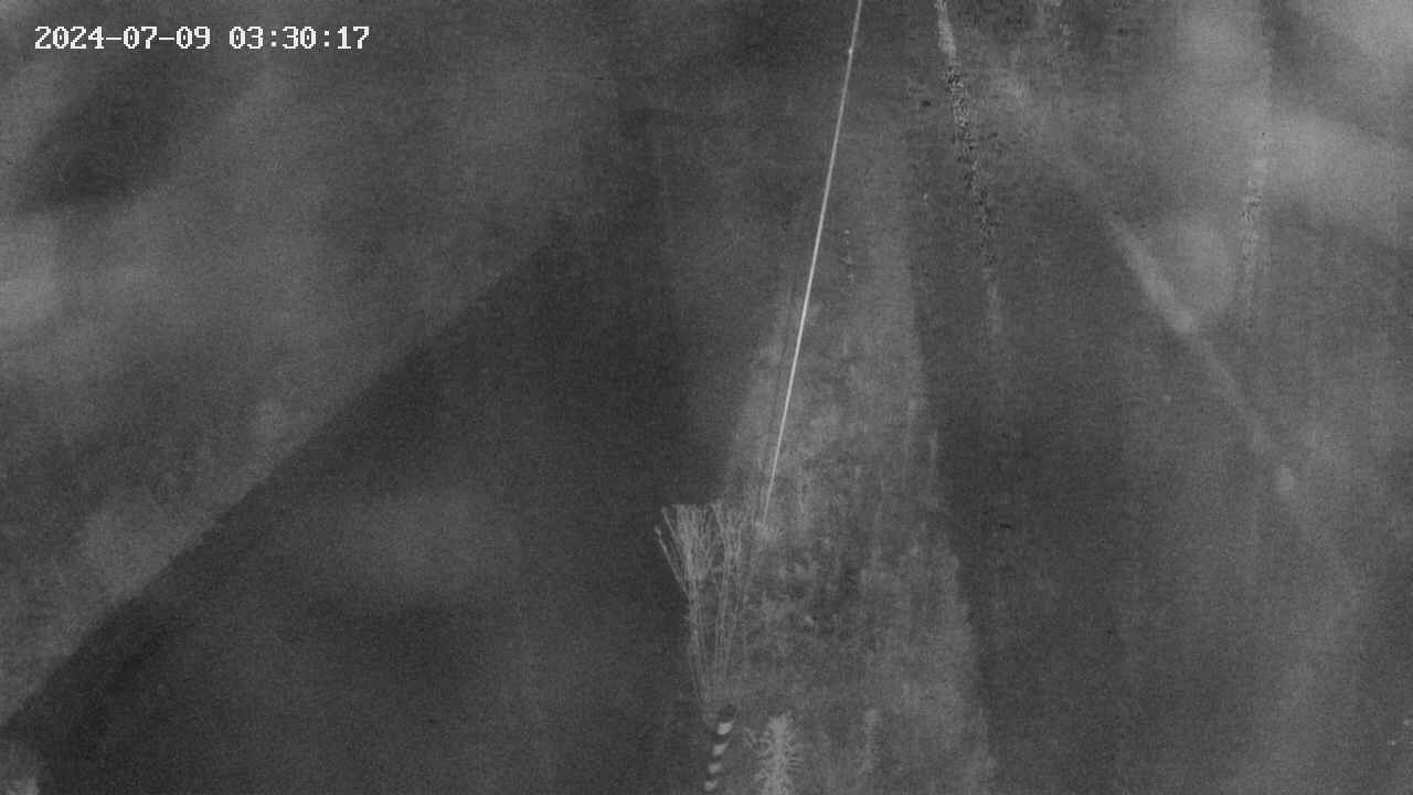 area9-20240709033019.jpg