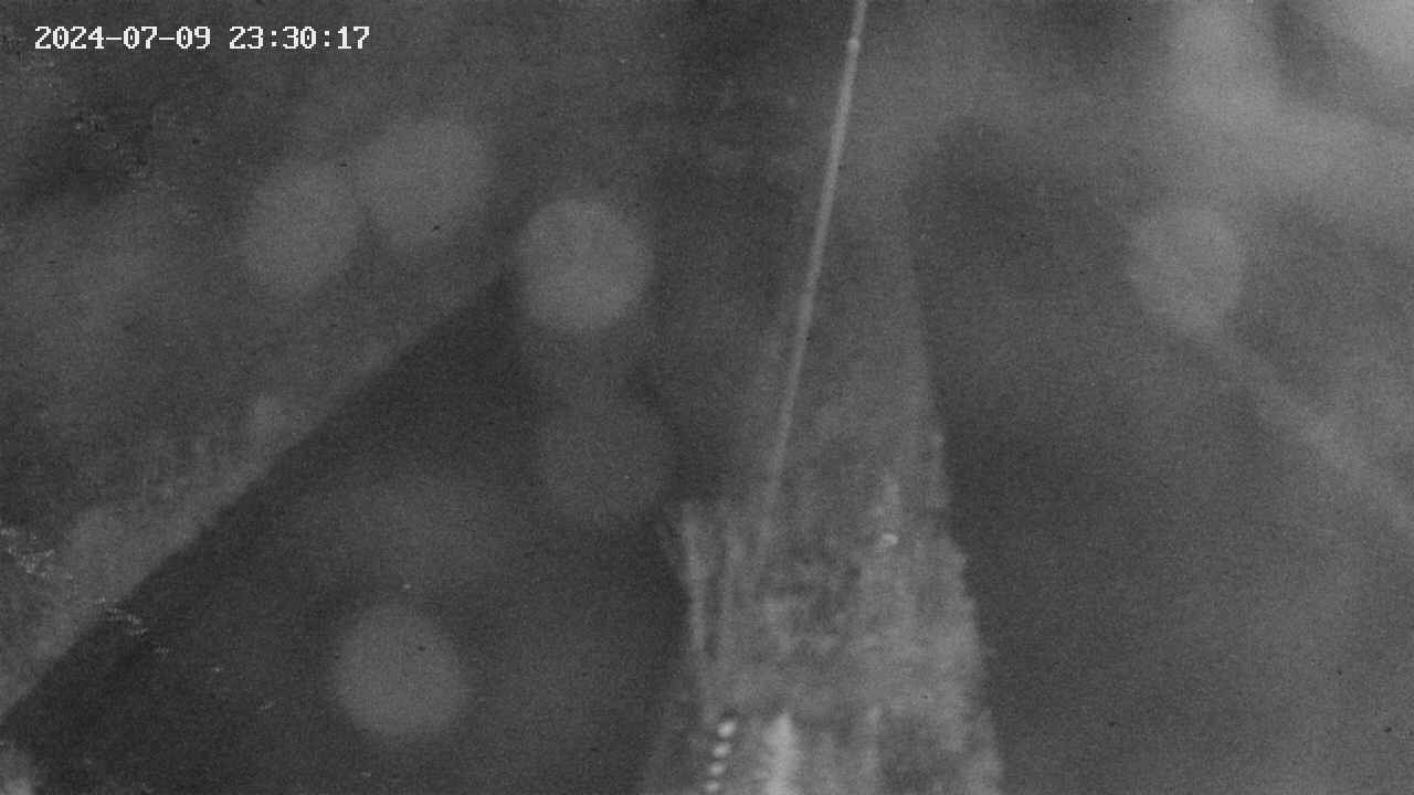 area9-20240709233018.jpg
