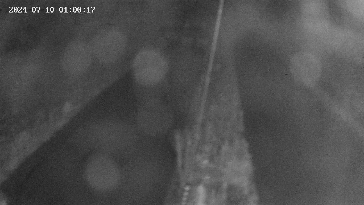 area9-20240710010018.jpg