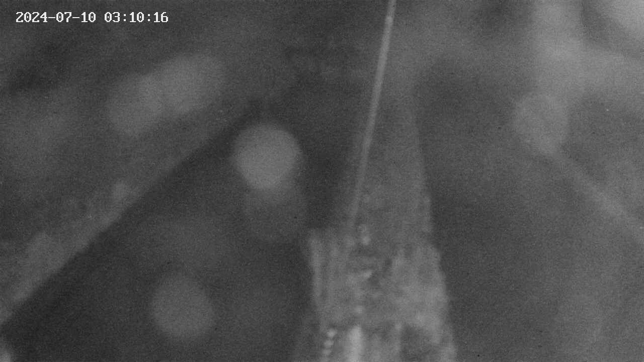 area9-20240710031017.jpg