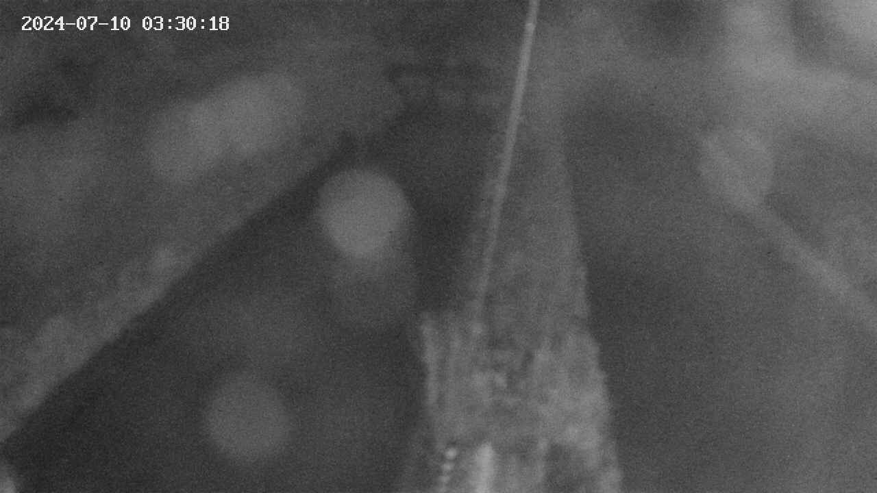 area9-20240710033019.jpg