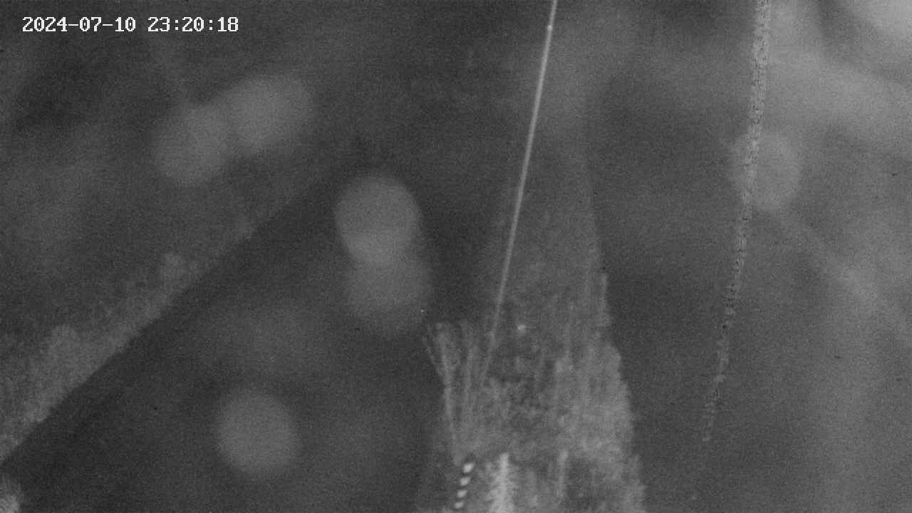 area9-20240710232019.jpg
