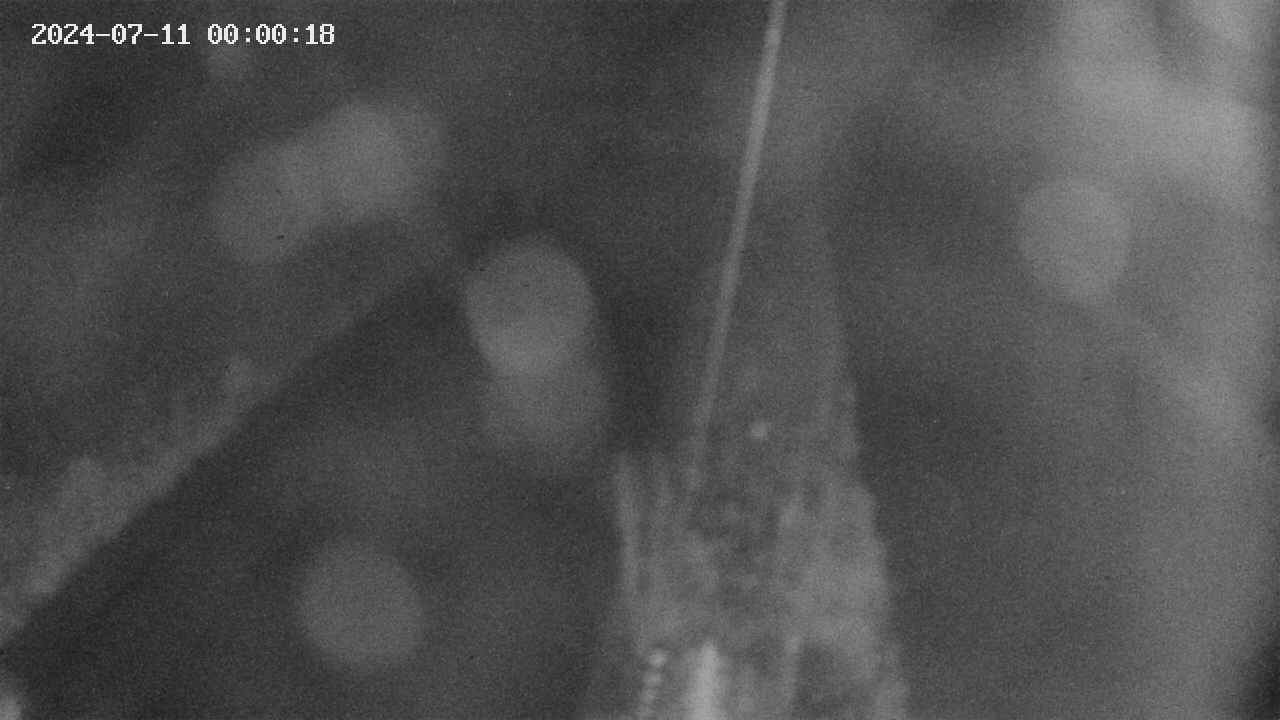 area9-20240711000019.jpg