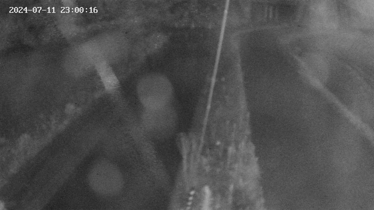 area9-20240711230017.jpg