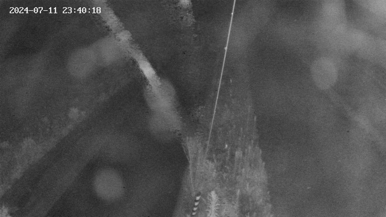 area9-20240711234019.jpg