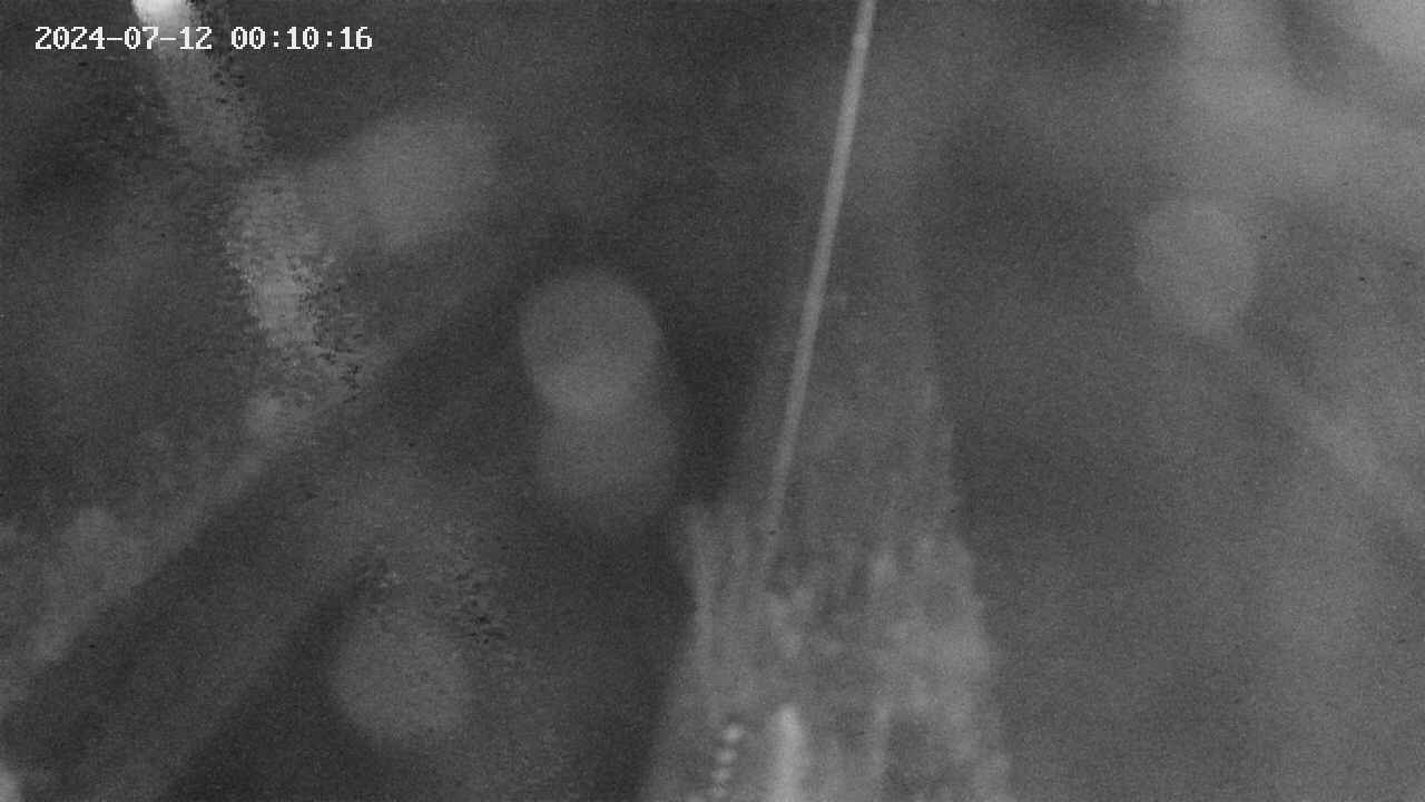area9-20240712001017.jpg