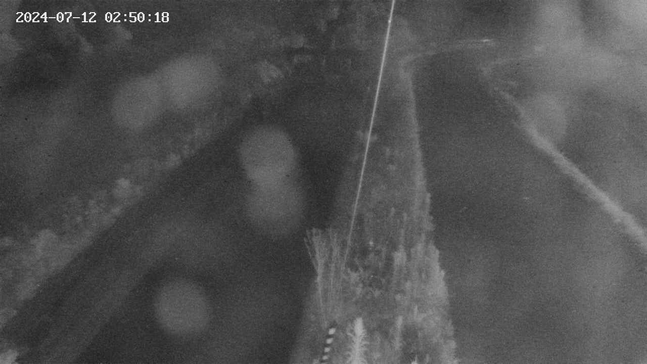 area9-20240712025018.jpg