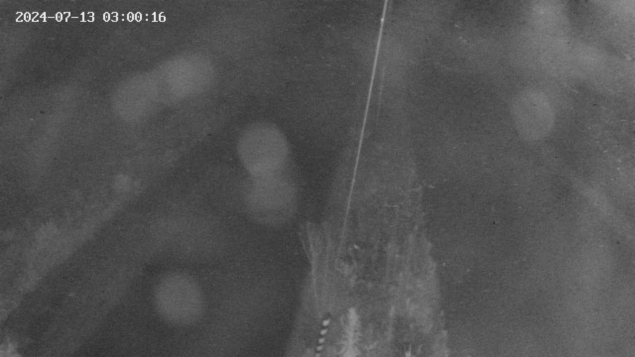 area9-20240713030017.jpg