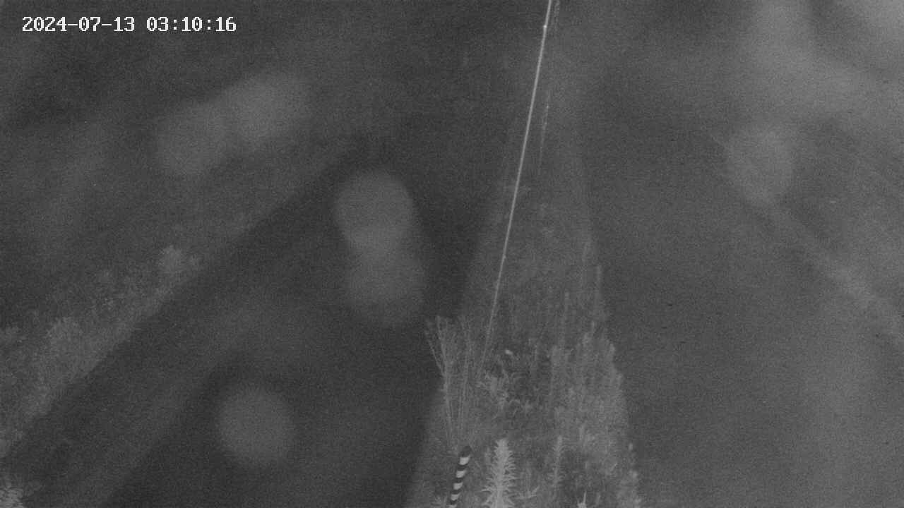 area9-20240713031018.jpg