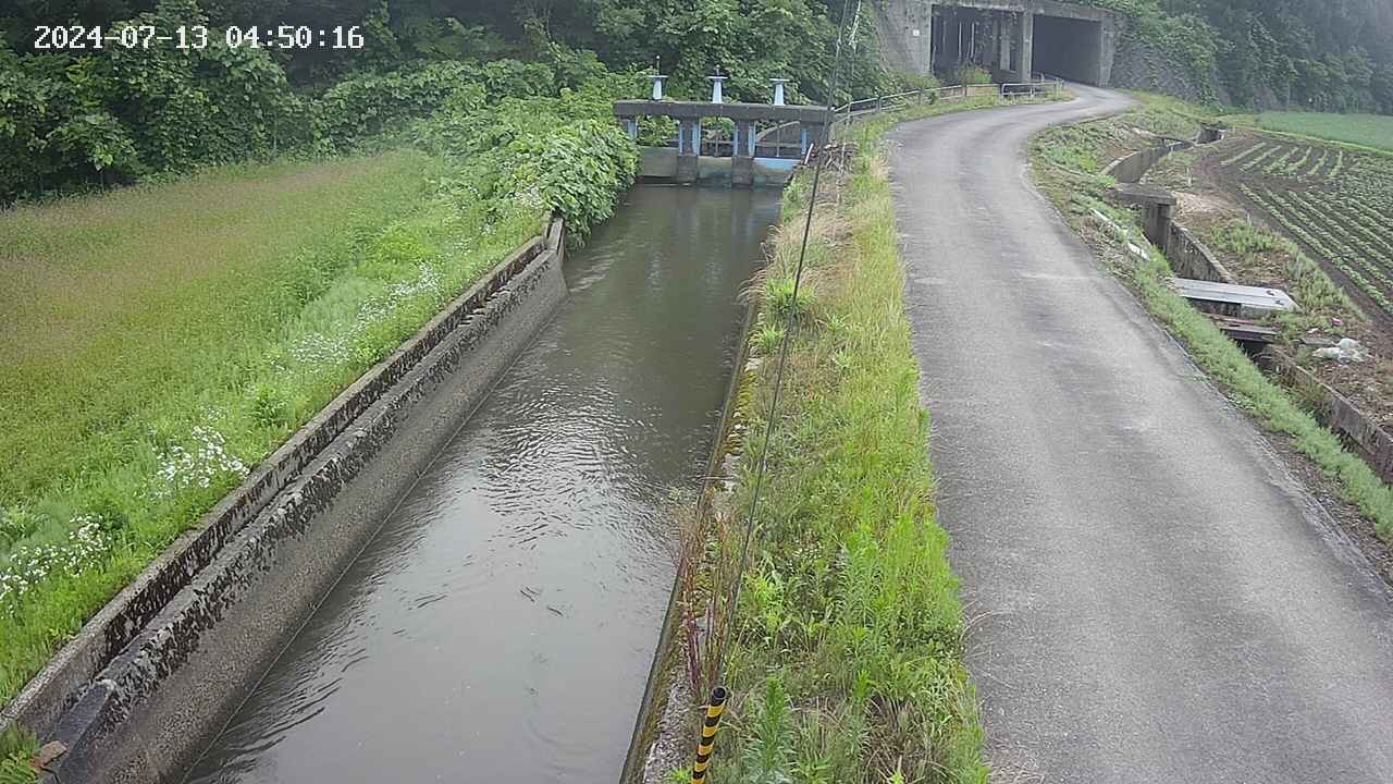 area9-20240713045018.jpg