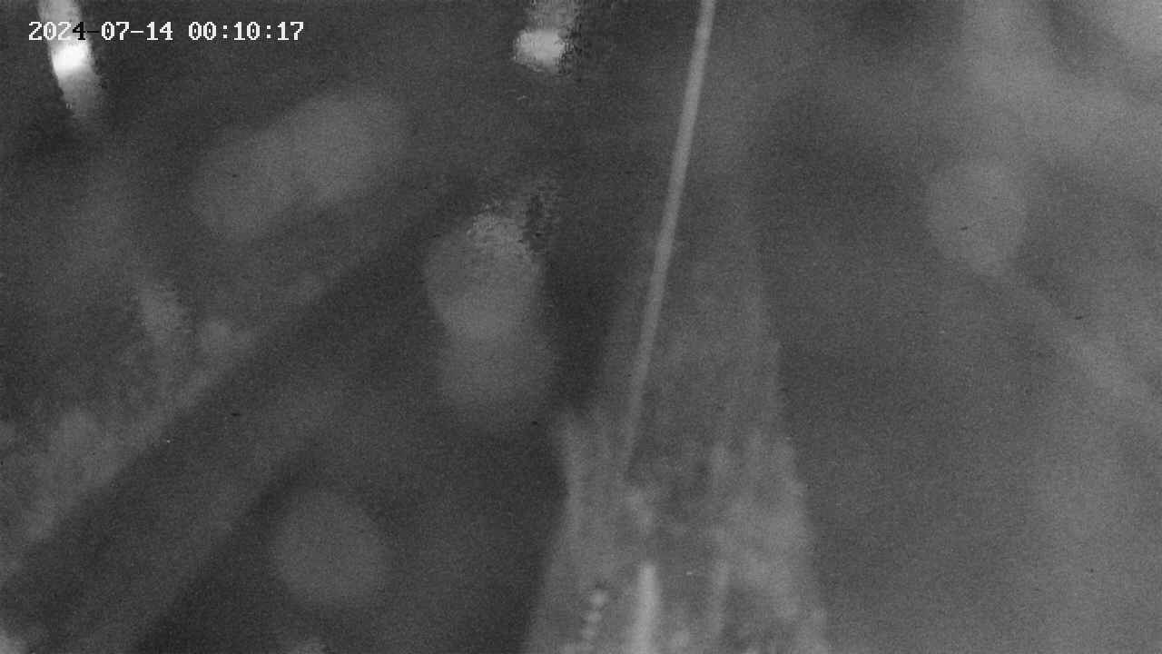 area9-20240714001018.jpg