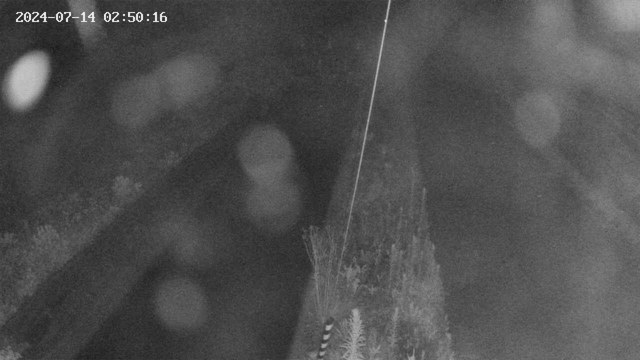 area9-20240714025018.jpg