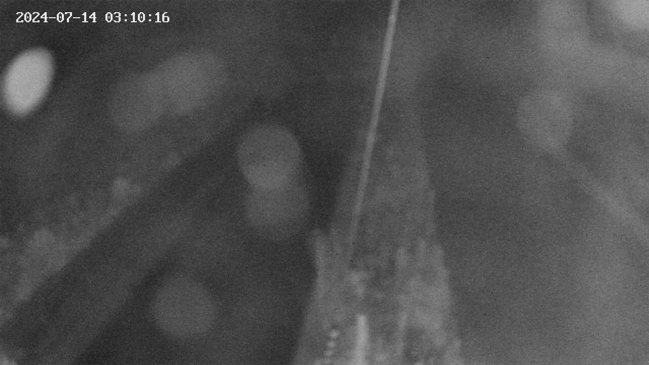 area9-20240714031018.jpg
