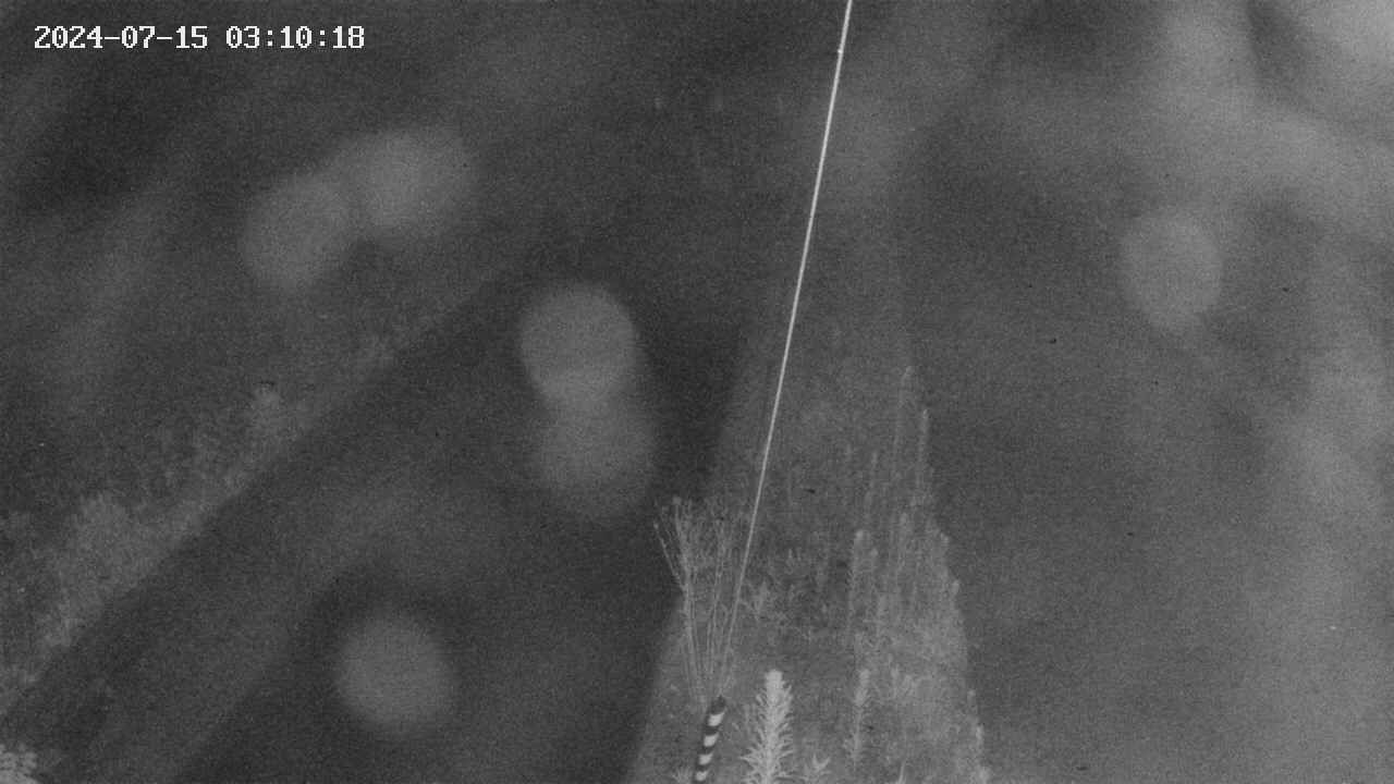 area9-20240715031018.jpg