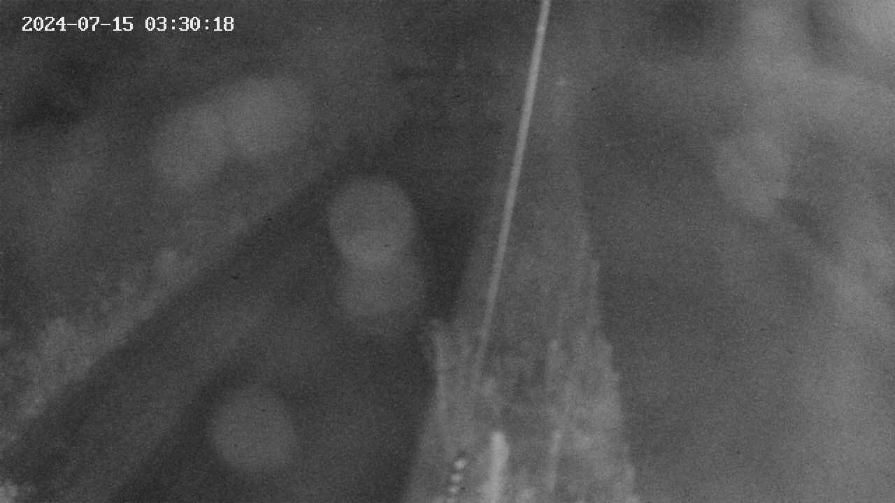 area9-20240715033019.jpg