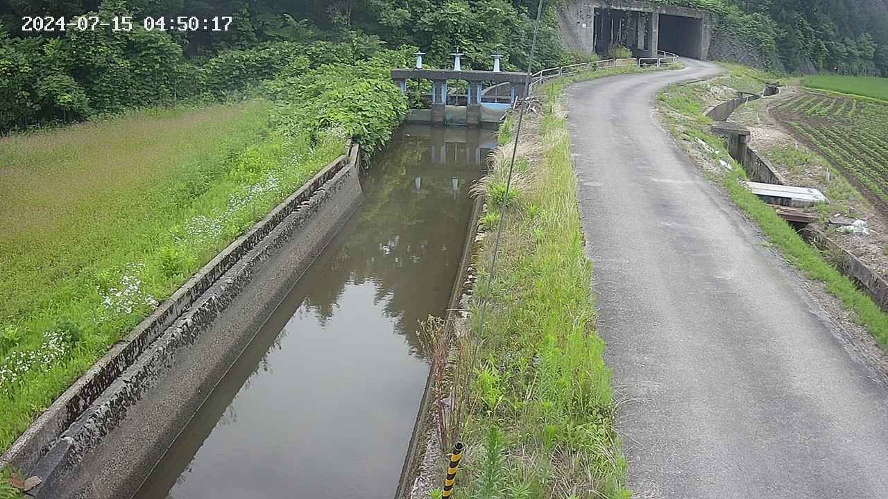 area9-20240715045018.jpg