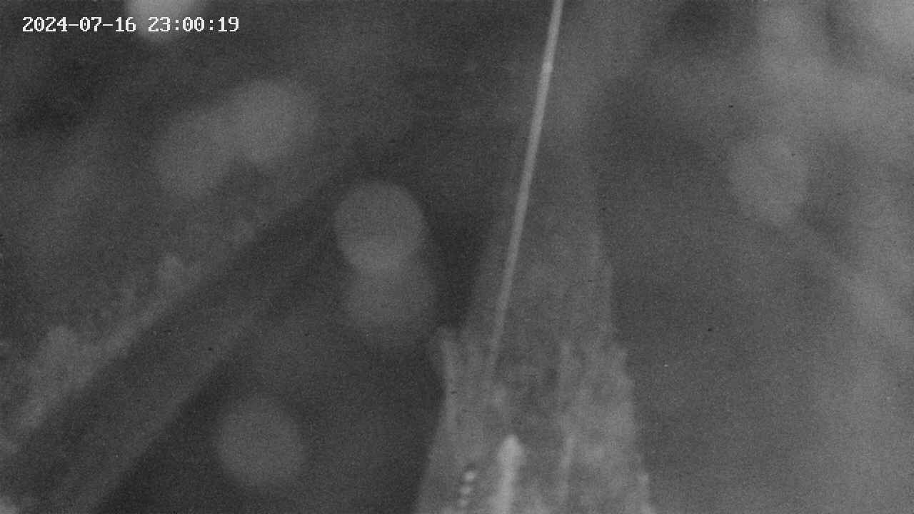 area9-20240716230019.jpg