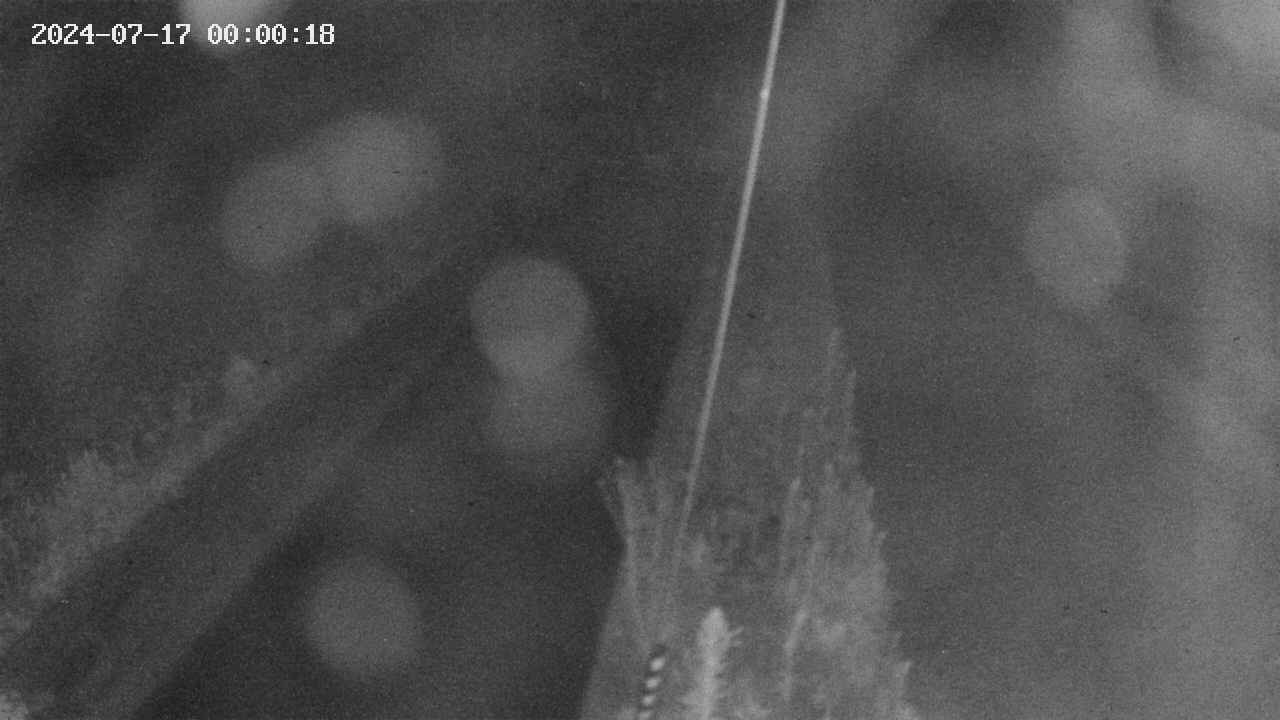 area9-20240717000019.jpg