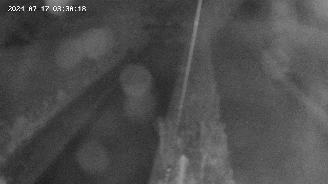 area9-20240717033018.jpg