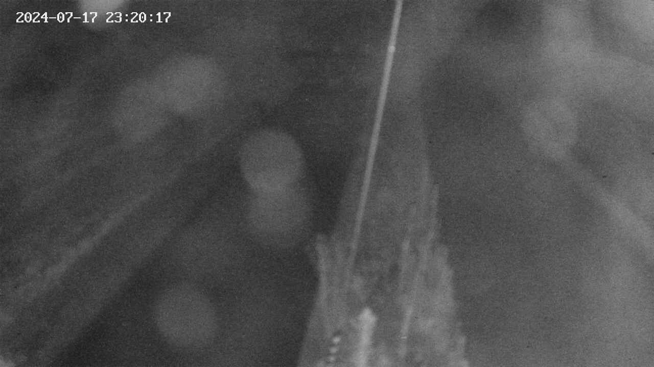 area9-20240717232018.jpg