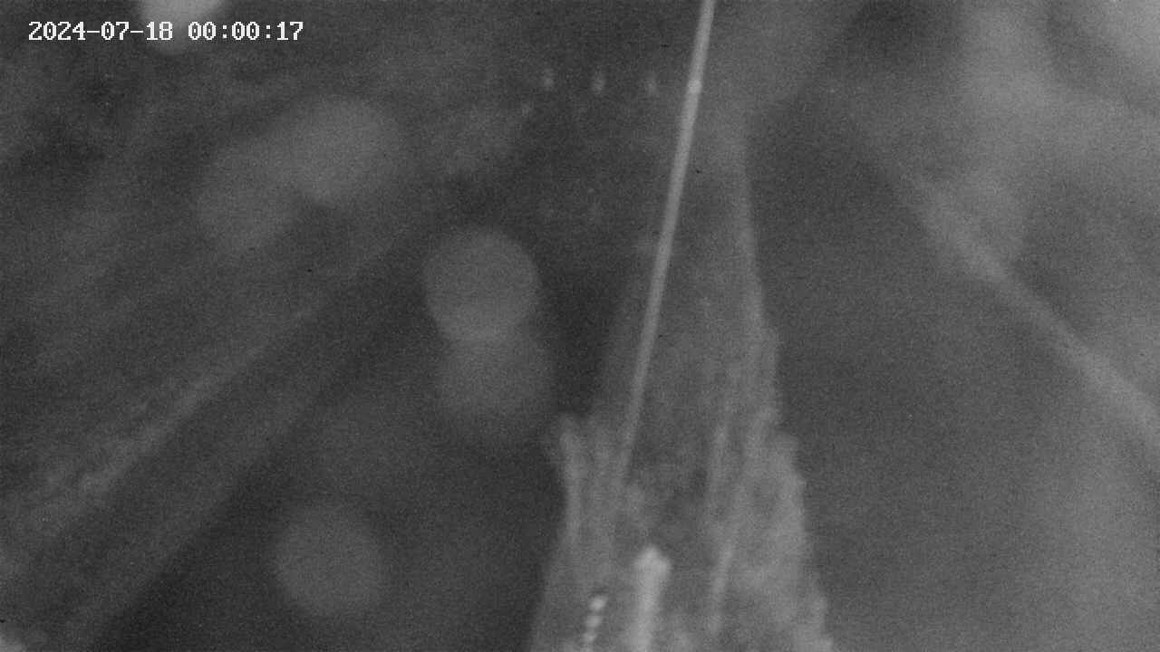 area9-20240718000018.jpg