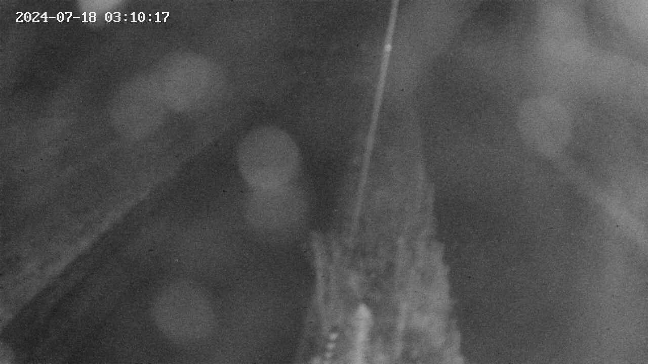 area9-20240718031018.jpg