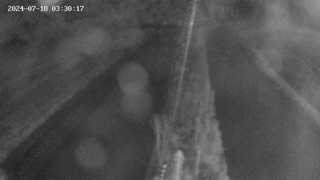 area9-20240718033019.jpg