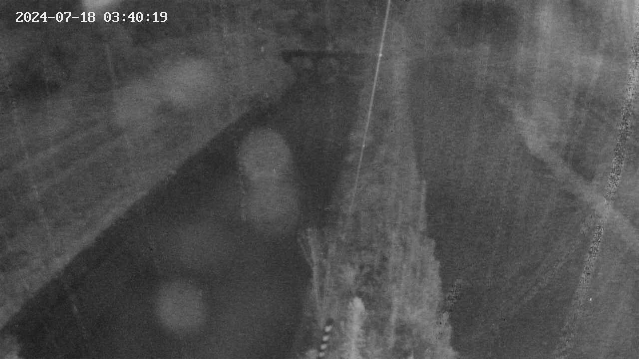 area9-20240718034020.jpg