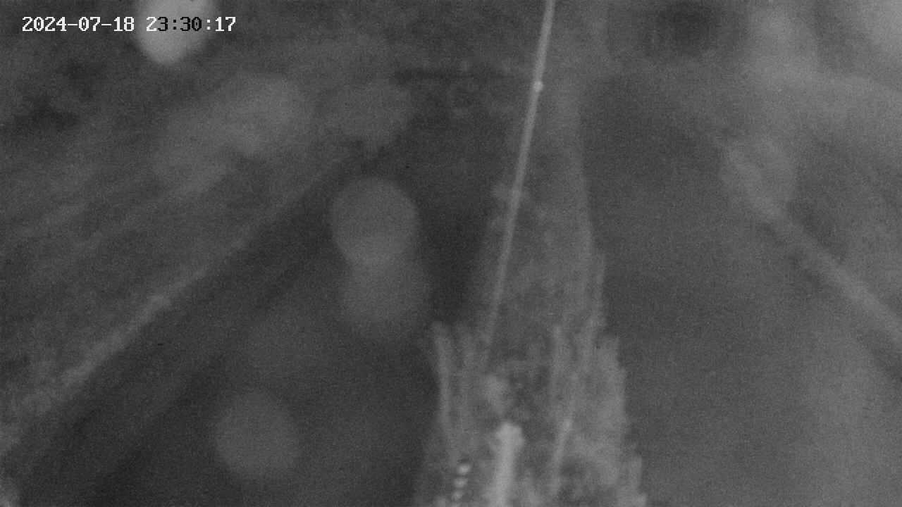 area9-20240718233018.jpg