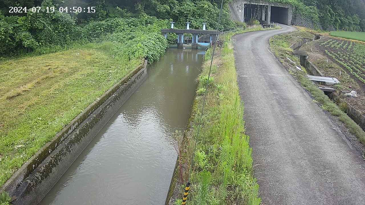 area9-20240719045017.jpg