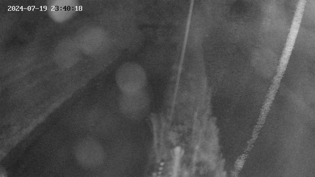 area9-20240719234019.jpg