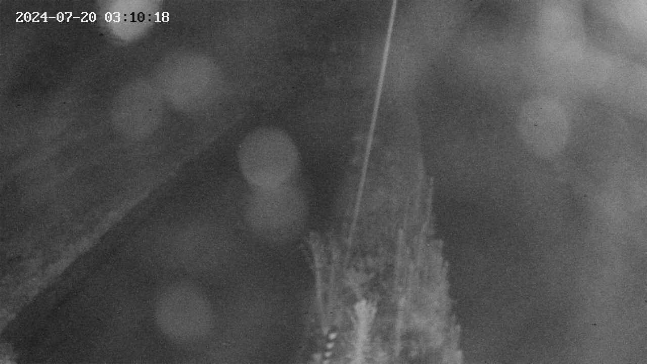 area9-20240720031019.jpg